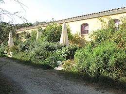 Cavalli di S'Arcaite