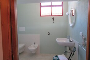 Cavalli di S'Arcaite