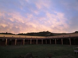 Cavalli di S'Arcaite