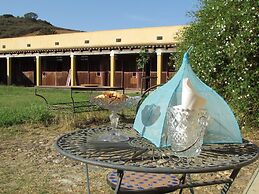 Cavalli di S'Arcaite