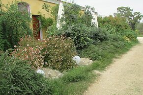 Cavalli di S'Arcaite