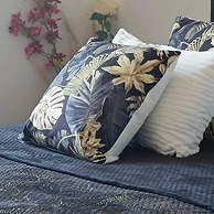 Entre Bastide et Cite