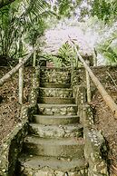 Cohune Palms River Cabanas
