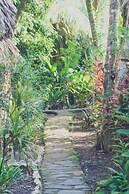 Cohune Palms River Cabanas