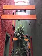 Apartaestudios Quinta Hidalga