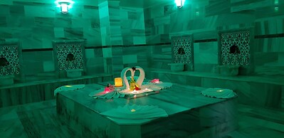 Sarikamis Kayi Snow Otel