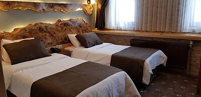 Sarikamis Kayi Snow Otel