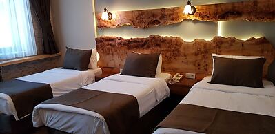 Sarikamis Kayi Snow Otel