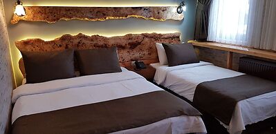 Sarikamis Kayi Snow Otel