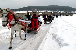 Sarikamis Kayi Snow Otel
