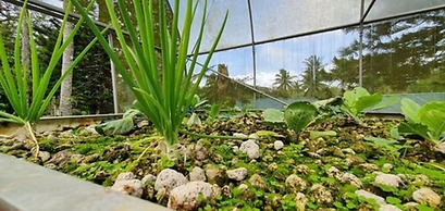 Caliraya Ecoville Recreation and Farm Resort