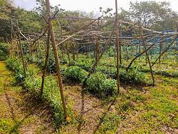 Caliraya Ecoville Recreation and Farm Resort