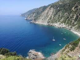 Lecci Di Soviore