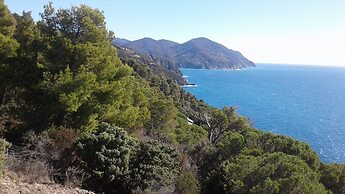 Lecci Di Soviore