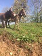 Corte Breda Agriturismo Bed & Breakfast