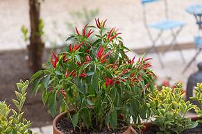 Borgo Vergini Garden