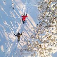Arctic TreeHouse Hotel