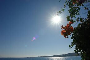 Petalides Apartments