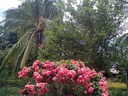 Eco Lodge El Porvenir