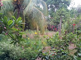 Eco Lodge El Porvenir