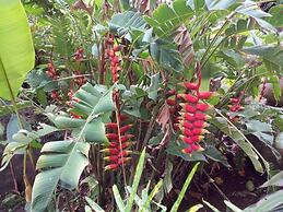 Eco Lodge El Porvenir