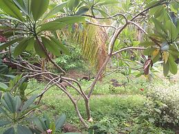 Eco Lodge El Porvenir