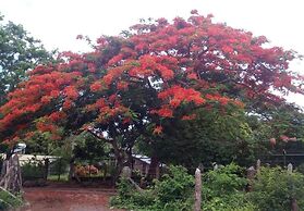 Eco Lodge El Porvenir