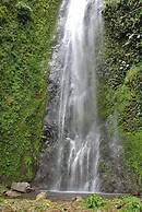 Inn Hospedaje BullShark