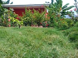 Inn Hospedaje BullShark