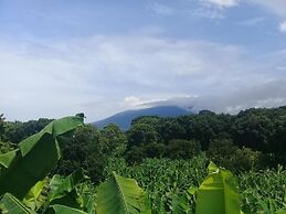 Inn Hospedaje BullShark