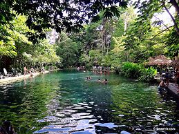 Inn Hospedaje BullShark