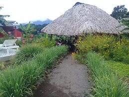 Inn Hospedaje BullShark