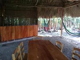 Inn Hospedaje BullShark