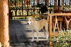 La Dolce Vita Holiday Villas