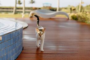 La Dolce Vita Holiday Villas