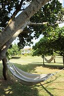 THE UBUFURU ISHIGAKI