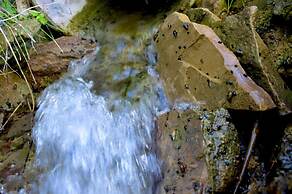 Albergue Rural de Algodonales - Hostel