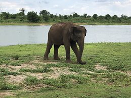 Plumeria Luxury Villas Udawalawe