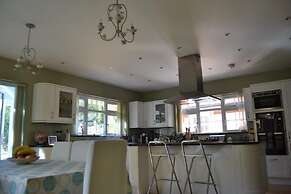 Leafy Suburban Bed & Breakfast