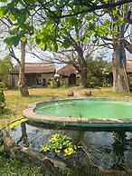 Mgoza Lodge