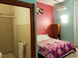 Român Holidays Hostel