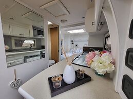 Glamping With Llamas