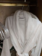 Glamping With Llamas