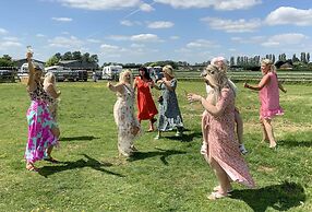 Glamping With Llamas