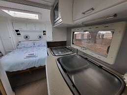 Glamping With Llamas