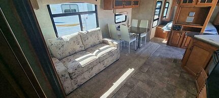 Glamping With Llamas