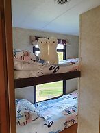 Glamping With Llamas