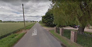 Glamping With Llamas