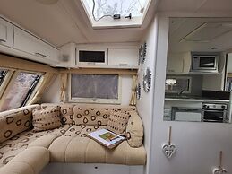 Glamping With Llamas