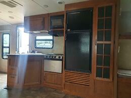 Glamping With Llamas